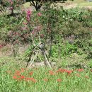 사화로-2 이미지