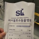 서서울호수동물병원 이미지