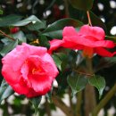 좋은날만 이미지