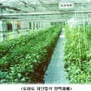 저단15 이미지