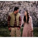 너는내운명 이미지