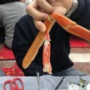 산호대게직판장 네이버블로그