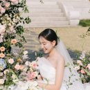 [#7+] 본식스냅 비교 (이제인/더블라썸/언아더데이/21그램/더유일/마리본식) &amp; ⭐️견적⭐️ 공유
