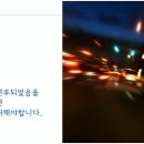 법무법인새강
