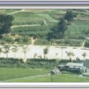 동항초등학교 이미지