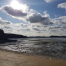 더담은펜션 이미지