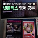 미드영어 발음에서 회화까지 (2) | 넷플릭스 미드로 영어공부하기 추천, 에밀리파리에가다 대본으로 쉐도잉 후기