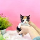 씨사이드모텔1 이미지