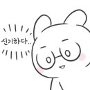 사천항주문진물회 이미지