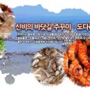 신비바이크 이미지