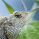 농어민문화체육센터 이미지