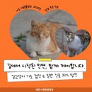 아름동물병원 이미지