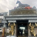 삼진목장 이미지