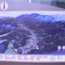 청원스크랩 이미지