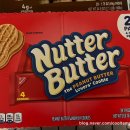 peanut butter lover