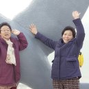 삼포 경로당 이미지