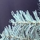 11590-라13-1 | 샤오신패드 프로 13 2026 일반 버전 후기 12.7 후속인가? 반글화까지 정리