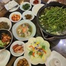 박터진흥부네 이미지