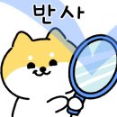 라비마린 이미지