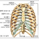피티포인트 이미지