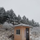 2018년02월11일(일)남원 지리산 바래봉 눈꽃산행 안내 이미지