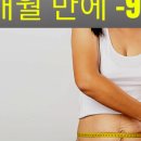 해피데이지