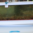 홍게랑 대게랑 이미지