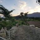 서광농장 이미지