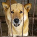 신동축산 이미지