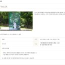 김홍주 | W4. 제주신라호텔 숨비포토 웨딩 스냅사진 내돈내산 추천 후기