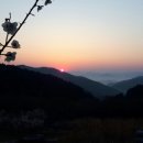 축령산휴림 이미지