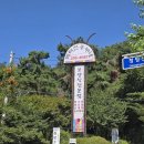 박터진흥부네 이미지