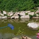 앵금농장 이미지