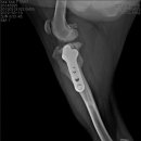 코끼리동물병원 이미지