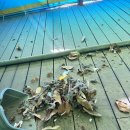 구성초등학교 이미지