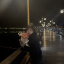 [열음시작☀️]투표사무원 후기/안동 하회마을/탕반옥/나불지/밀레니엄 안동찜닭/월영교