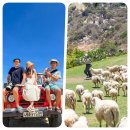 종식목장 | 나트랑 판랑 사막 투어 시간 베트남 사막 일일투어 추천