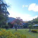 가평잣나무숲하우스 | 가평 더숲하우스 펜션 후기: 가평여행 펜션 추천