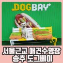 도그베이 수원 네이버블로그