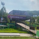 곤지암리조트, 루지360 후기, 45개월 아기랑