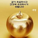 다복 이미지