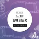 담액터스 이미지