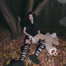 아이리스(IRIS) 이미지