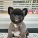 견생 이발소 이미지