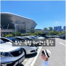 칠암도서관 | 부산 국립해양박물관 실내 가볼만한 곳, 칠암만장 장어구이 맛집