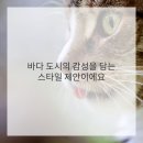도시감각