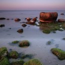 바다가 보이는 풍경 이미지