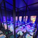 헌터독 가수원점 이미지