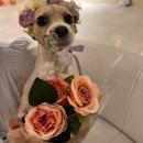 오간식 영등포점 이미지