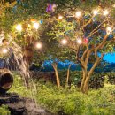 순심이네한우흑돼지 이미지